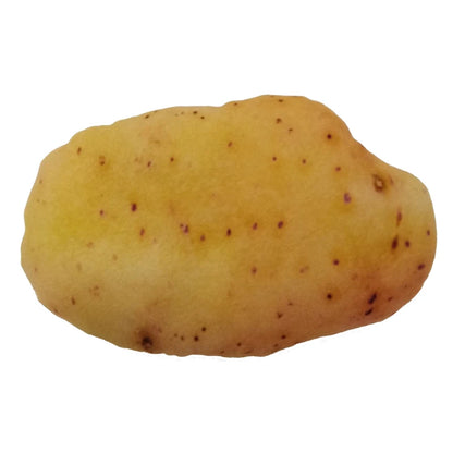 Jouets Coussins Trompes l'Oeil