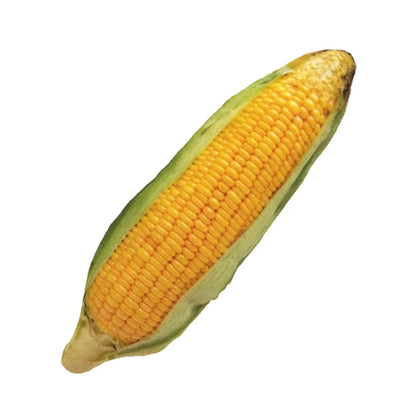 Jouets Coussins Trompes l'Oeil